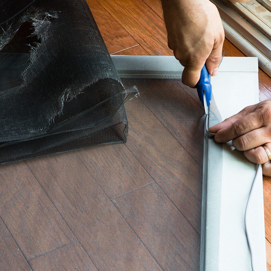 Insect Screens/Repairs