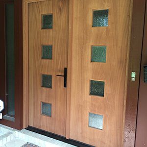 Modern Double Doors